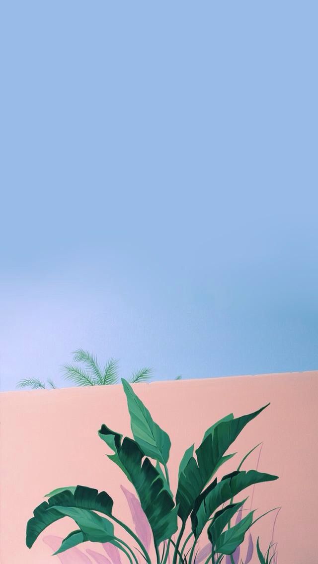 Blue, Sky, Leaf, Botany, Plant, Tree, Iphone Wallpaper - We Don T Talk Anymore And You Don T Seem To Care , HD Wallpaper & Backgrounds