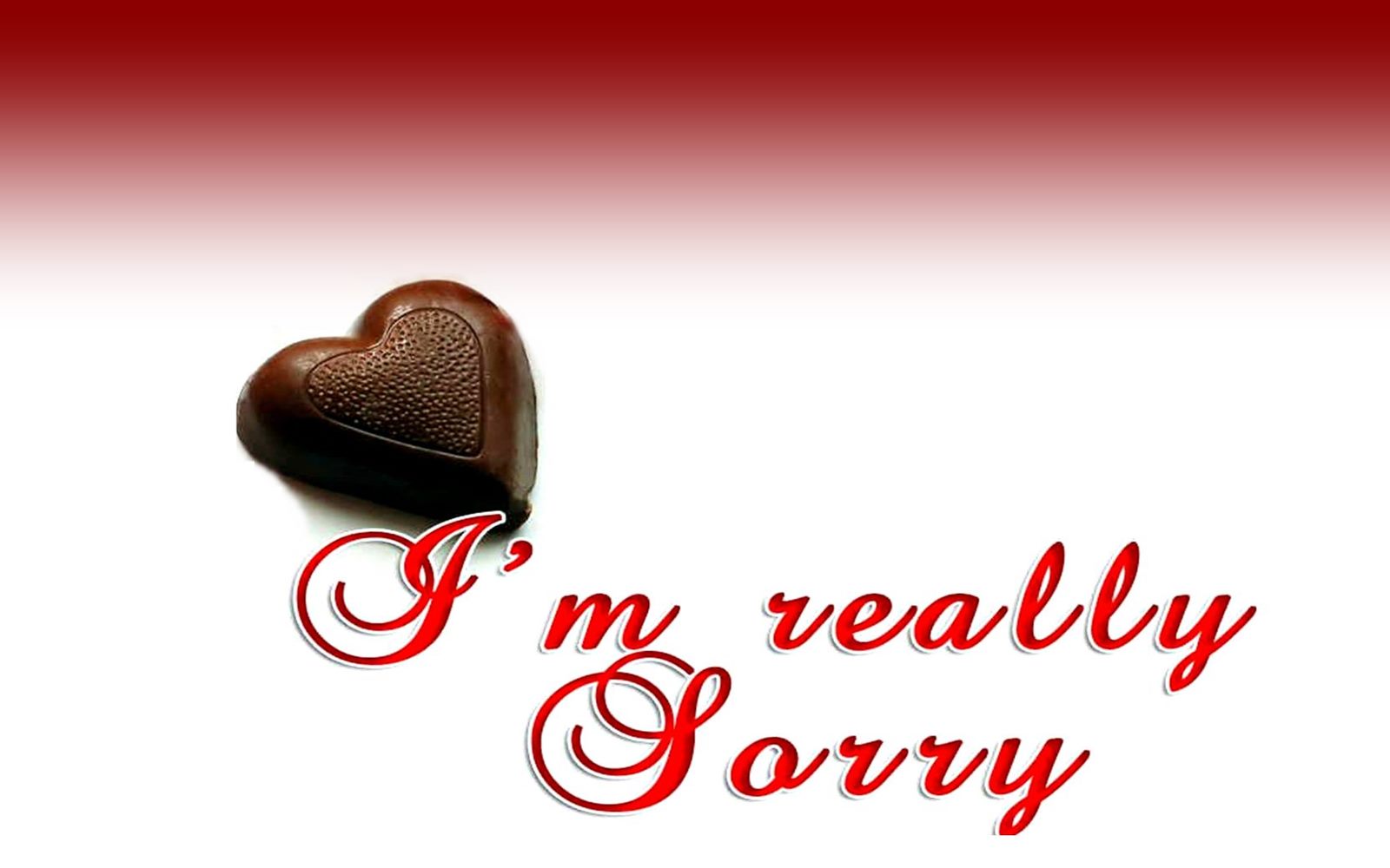 Sorry Wallpaper Hd - Am Really Sorry Images Hd , HD Wallpaper & Backgrounds