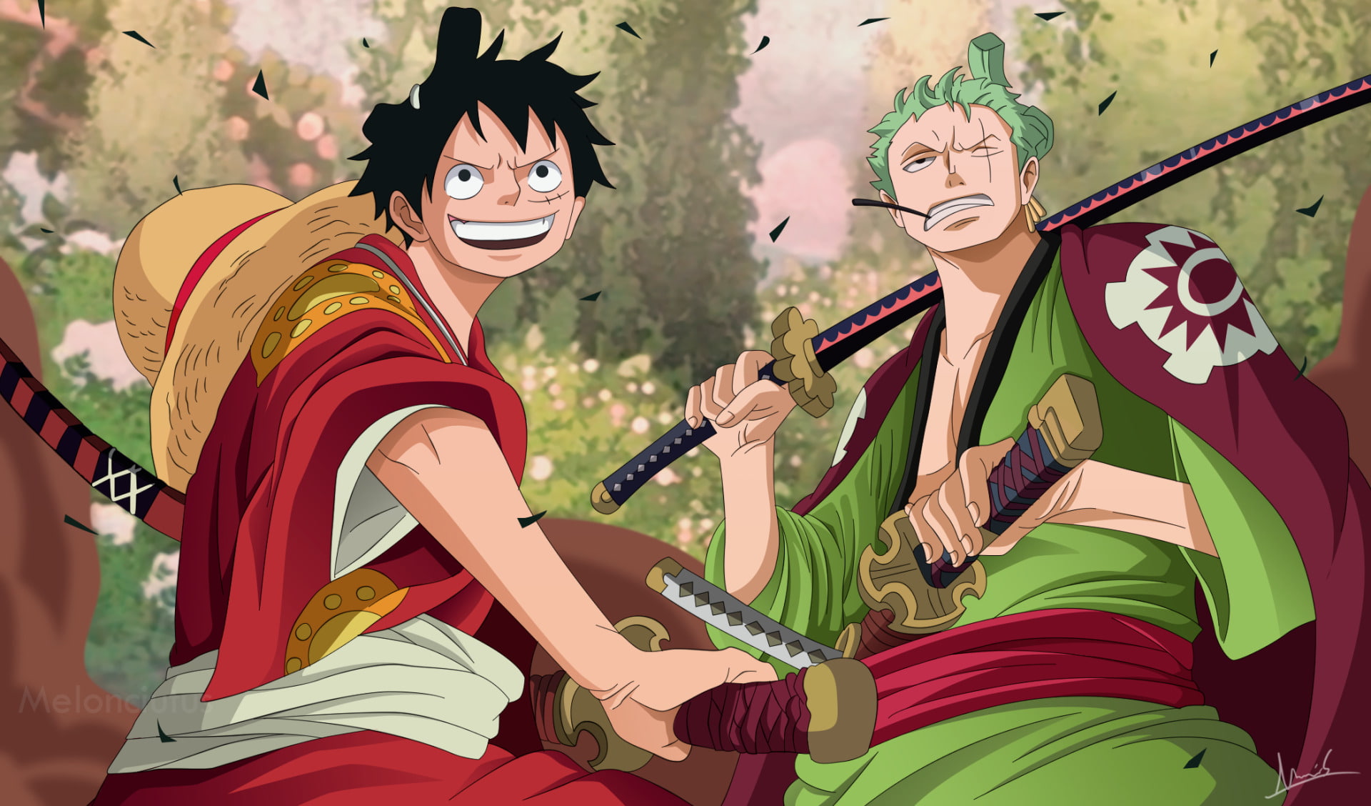 Monkey D Luffy Zoro , HD Wallpaper & Backgrounds