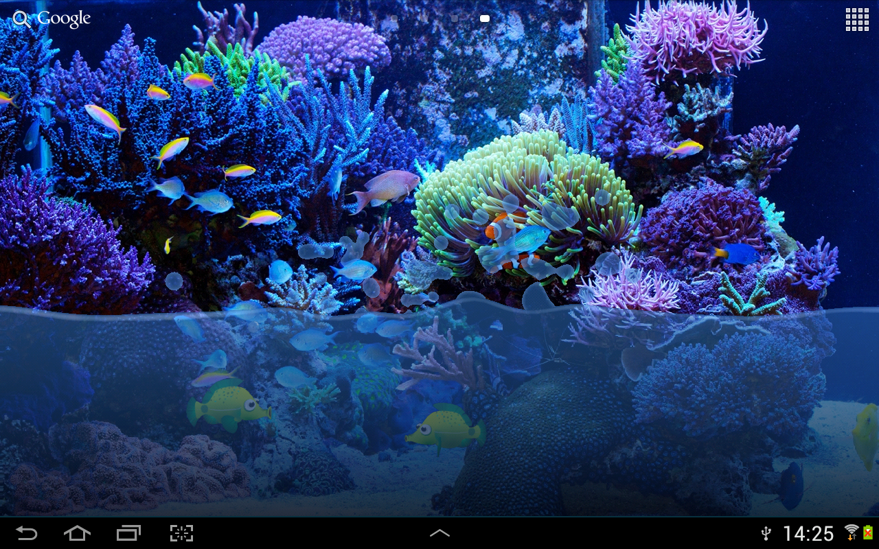 Fish Tank Live Wallpaper This Wallpaper Simulates Water - Saltwater Reef , HD Wallpaper & Backgrounds