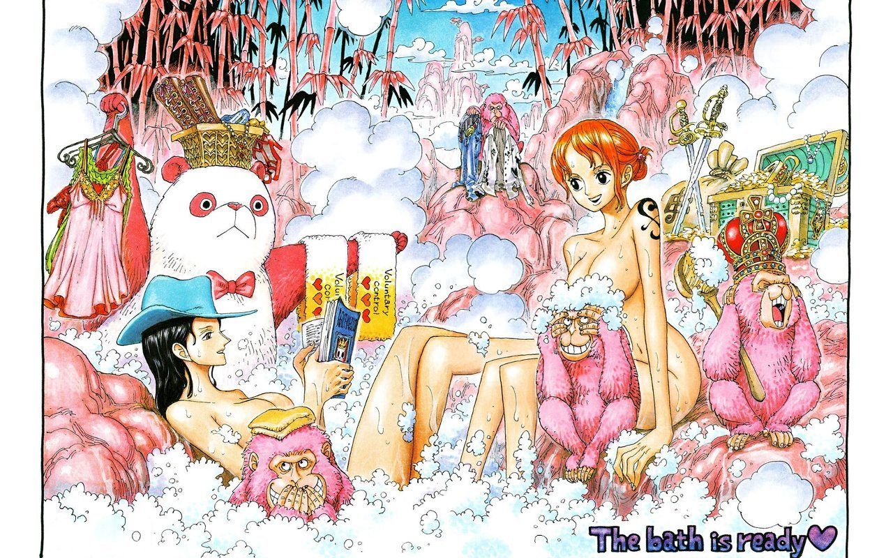 Nami One Piece Color Spreads , HD Wallpaper & Backgrounds