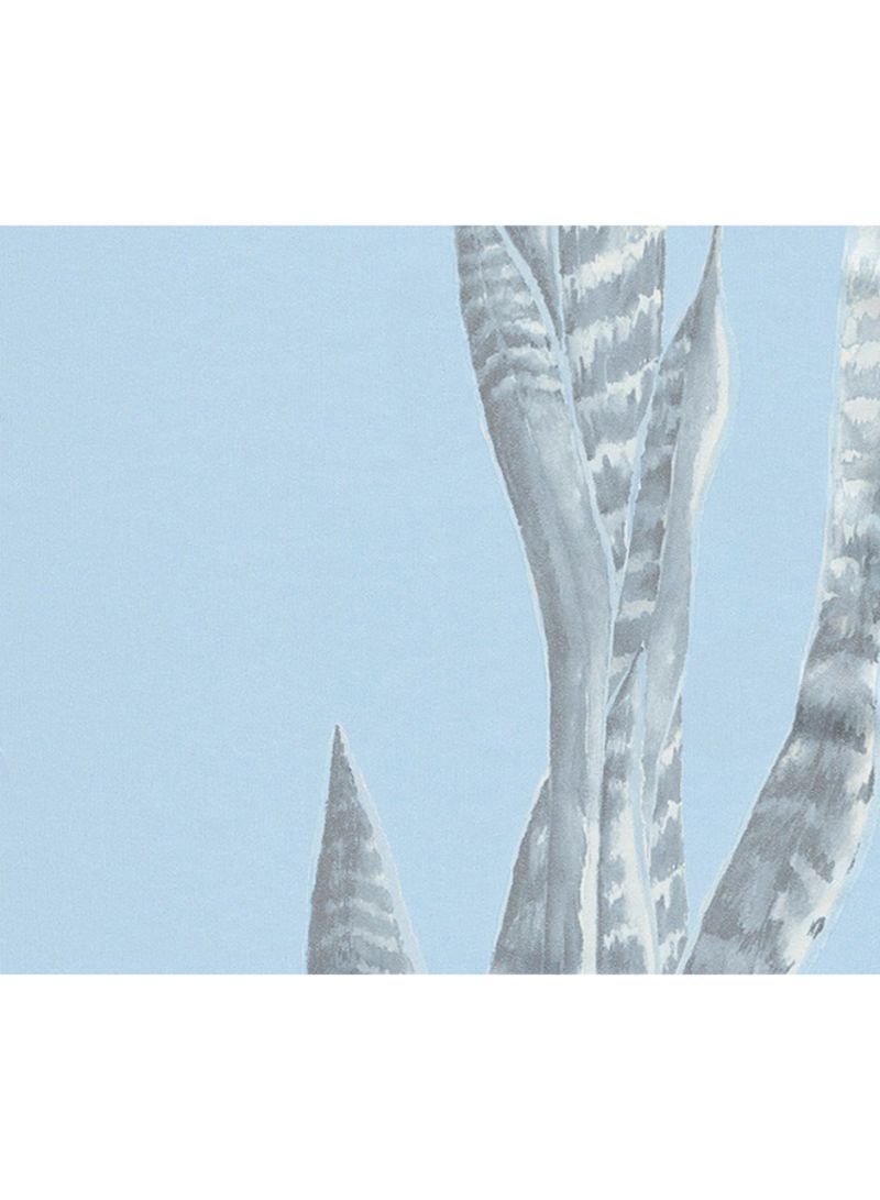 Cactus , HD Wallpaper & Backgrounds