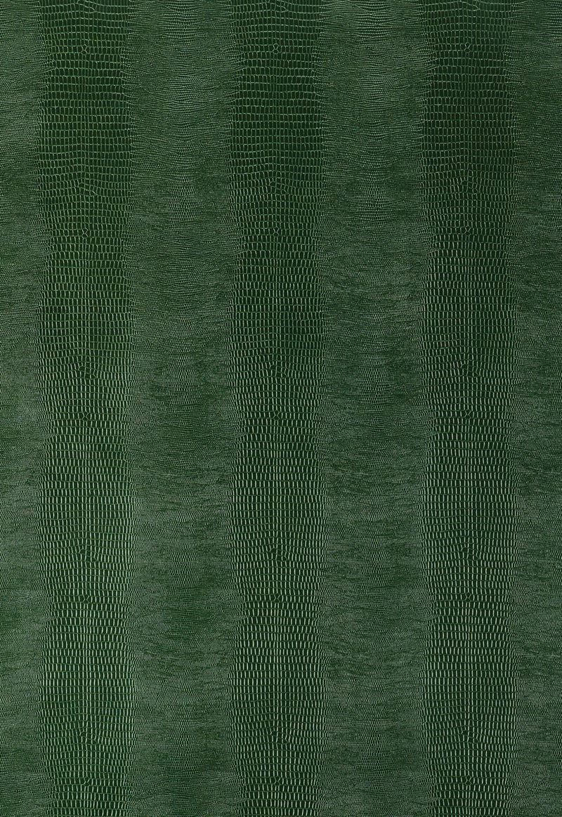 Forest Green Textured , HD Wallpaper & Backgrounds