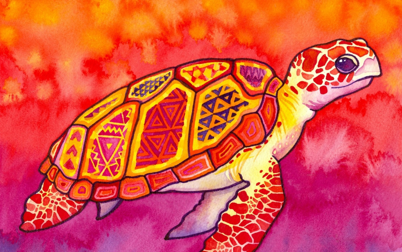 Sea Turtle Painting Wallpapers - Colorful Sea Turtle Painting , HD Wallpaper & Backgrounds