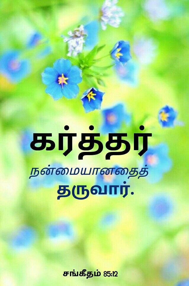 Tamil Bible Words Hd Wallpaper - Jesus Words In Tamil , HD Wallpaper & Backgrounds