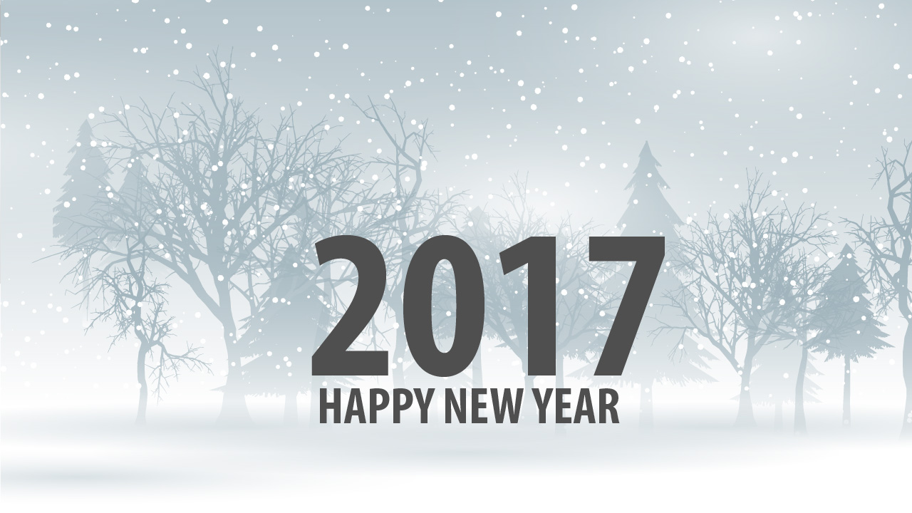 2017 New Year Hd Wallpaper - Happy New Year Jiju , HD Wallpaper & Backgrounds