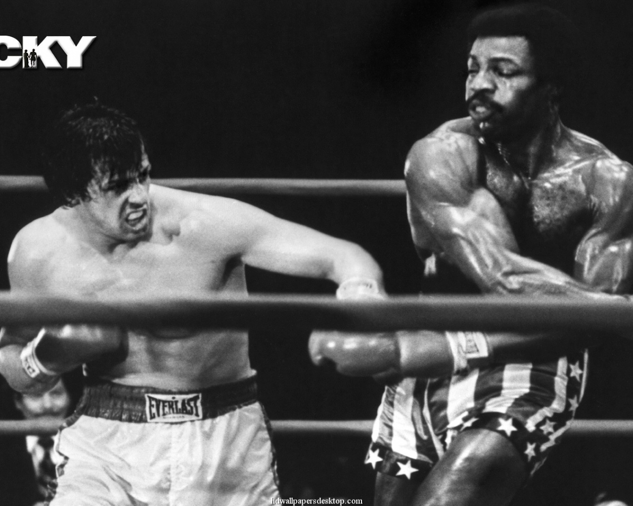 Rocky Wallpaper Hd - Carl Weathers Rocky , HD Wallpaper & Backgrounds