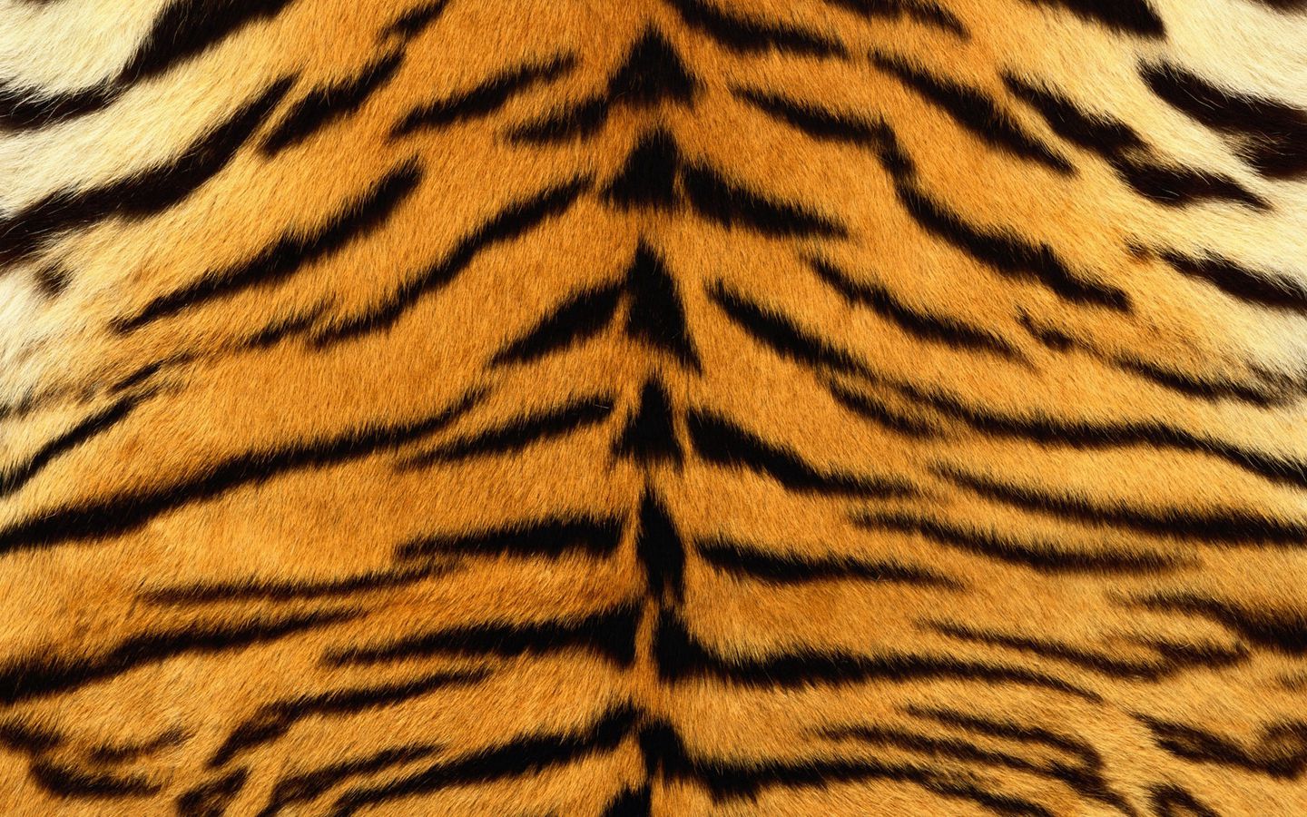 Wallpaper Skin, Tiger, Stripes, Fur, Striped - Tiger Print Background , HD Wallpaper & Backgrounds
