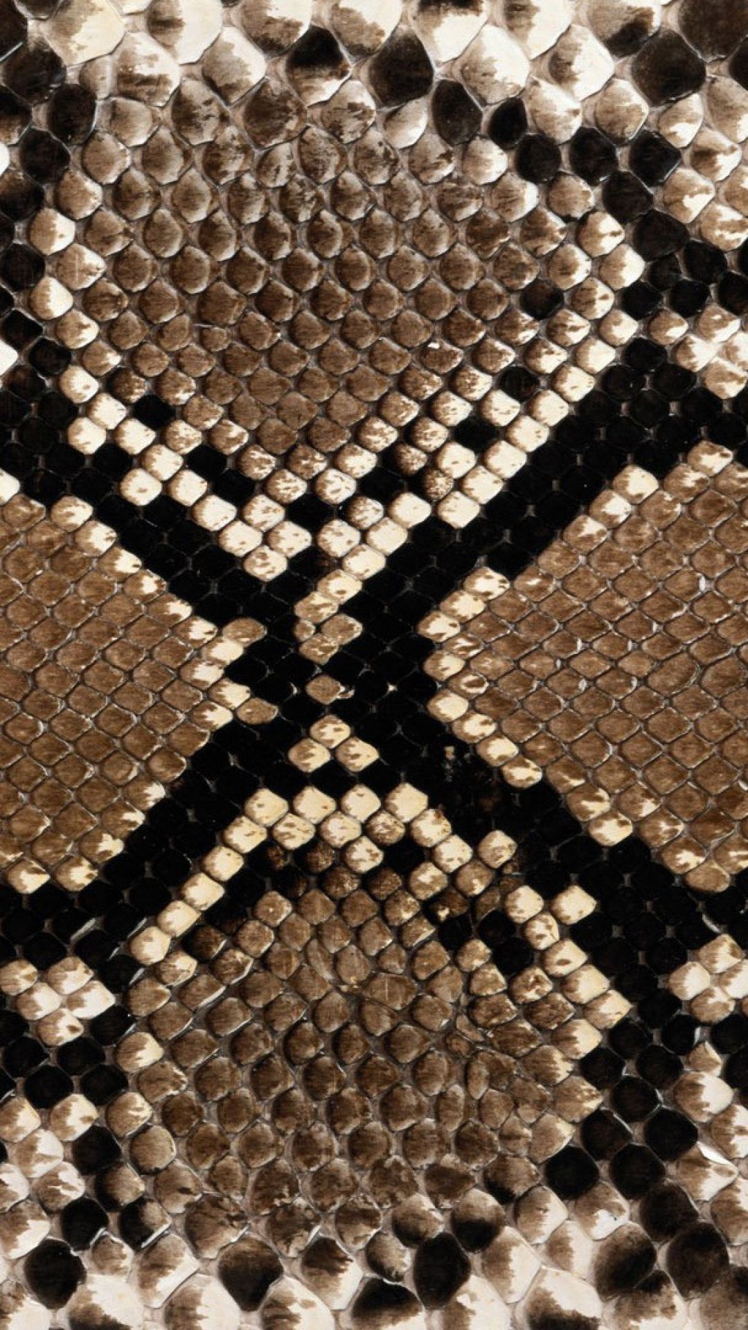 Wallpaper Snakeskin, Texture, Surface, Stains - Snake Skin , HD Wallpaper & Backgrounds