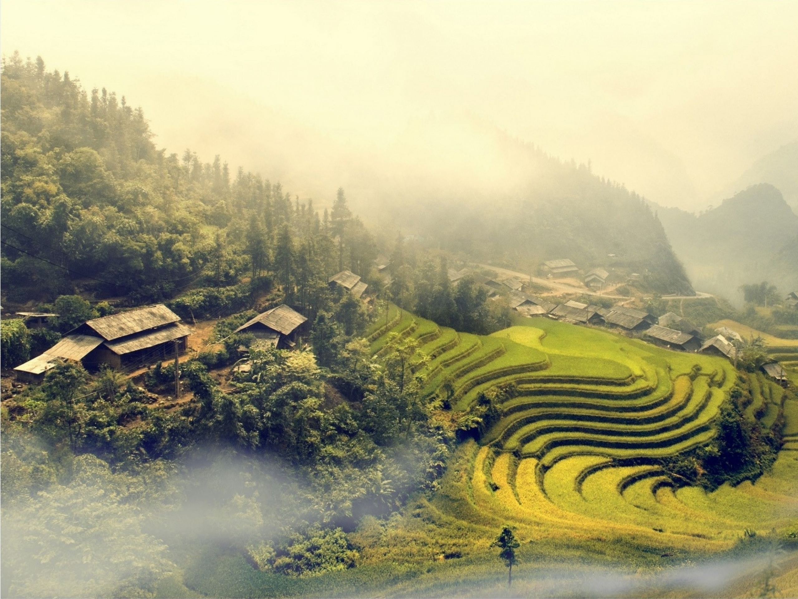 Vietnamese Landscape Wallpaper Hd , HD Wallpaper & Backgrounds
