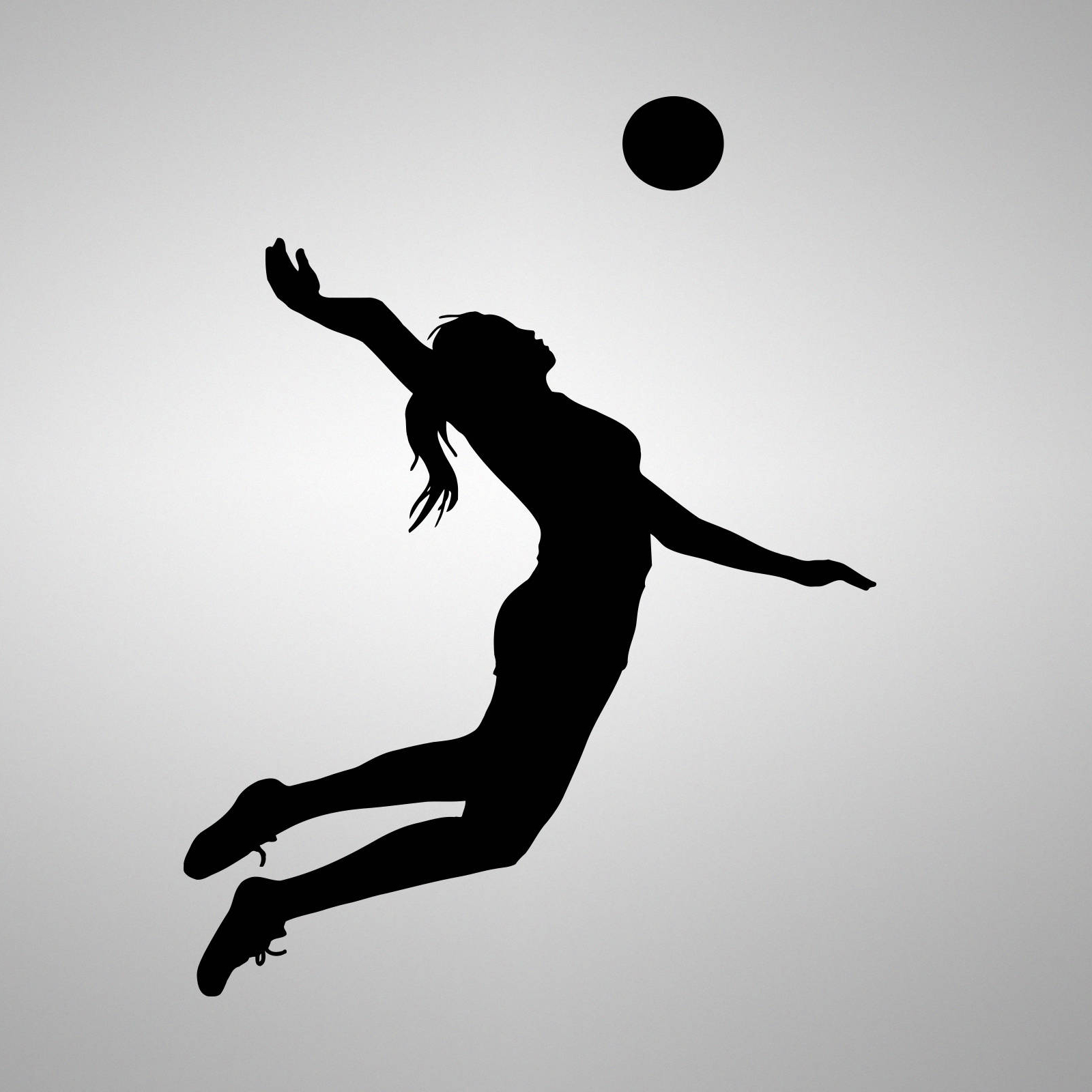 Volleyball HD Wallpapers - Wallpaper Cave