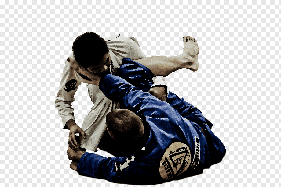 Brazilian Jiu-jitsu Jujutsu Judo Gracie Family Martial - Brazilian Jiu Jiu Jitsu , HD Wallpaper & Backgrounds