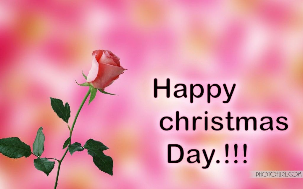 Happy Christmas Day Hd , HD Wallpaper & Backgrounds
