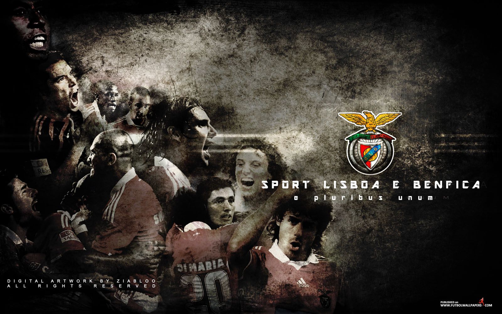 Fonds D Écran Sl Benfica - Slbenfica Wallpapers Para Pc , HD Wallpaper & Backgrounds