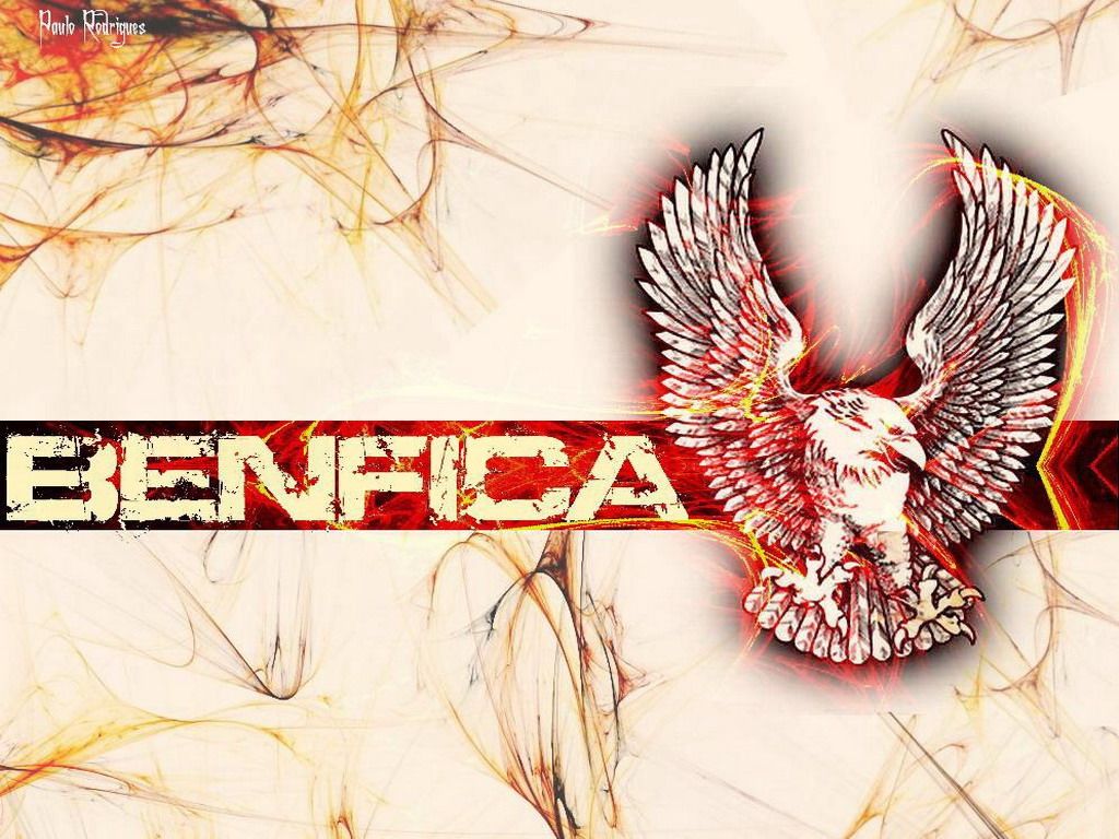 Cool Wallpaper, Futebol, Benfica, Slb, Slbenfica, Benfica - Benfica Fc Wallpaper Hd , HD Wallpaper & Backgrounds