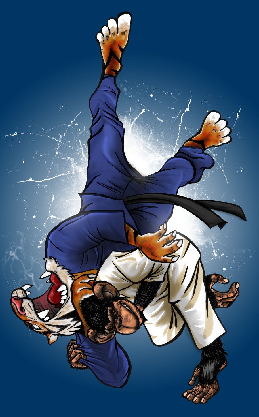 Jiu Jitsu Wallpapers - Judo Wallpaper Hd , HD Wallpaper & Backgrounds