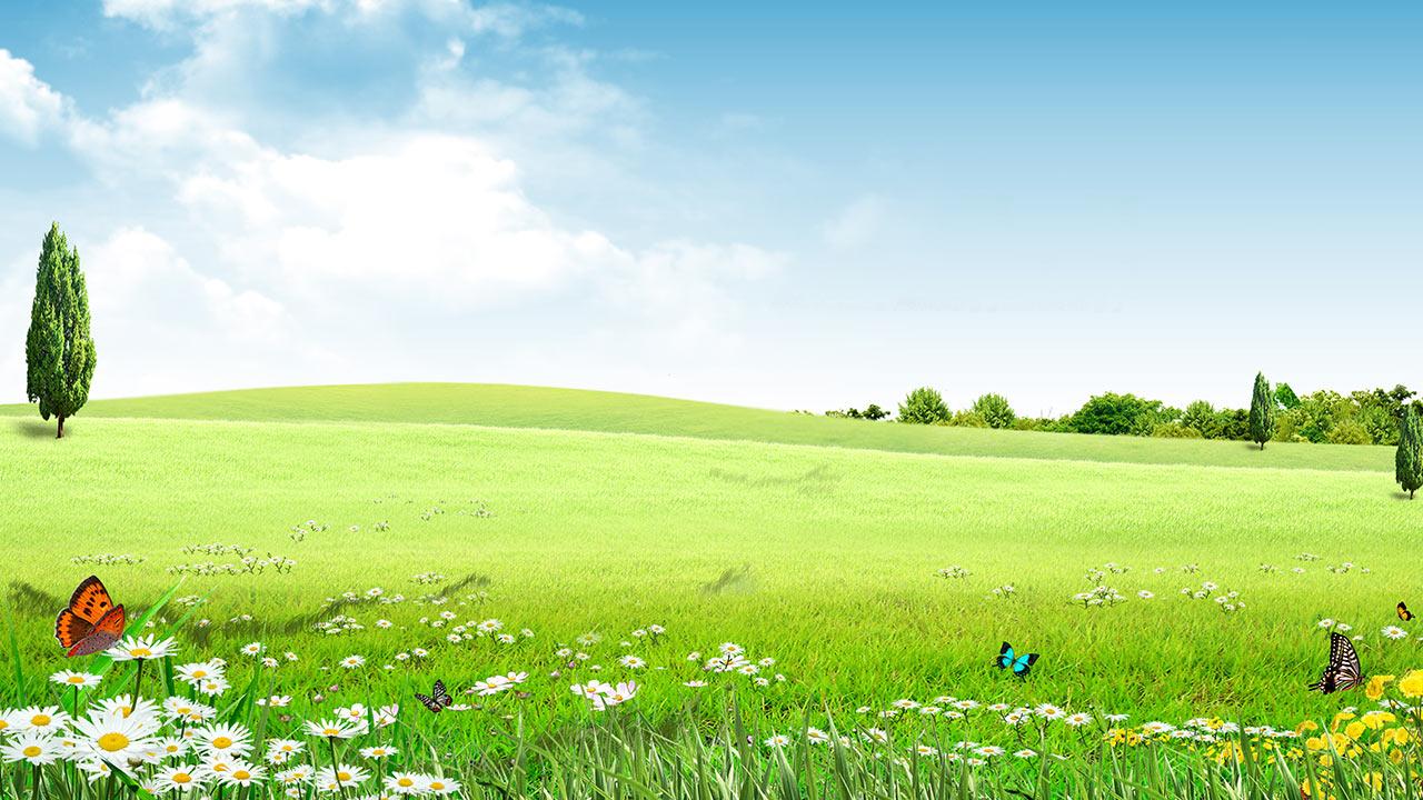 Primavera Fondo Animado Aplicaciones De Android En - Nature Green Background Png , HD Wallpaper & Backgrounds