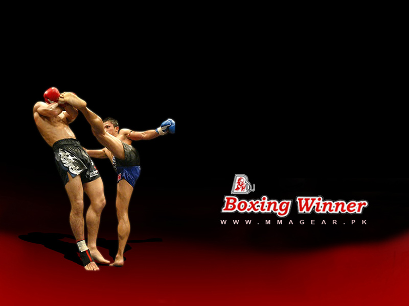 Free Download Jiu Jitsu Boxing Winner Mmagear Pk Martial - Muay Thai , HD Wallpaper & Backgrounds