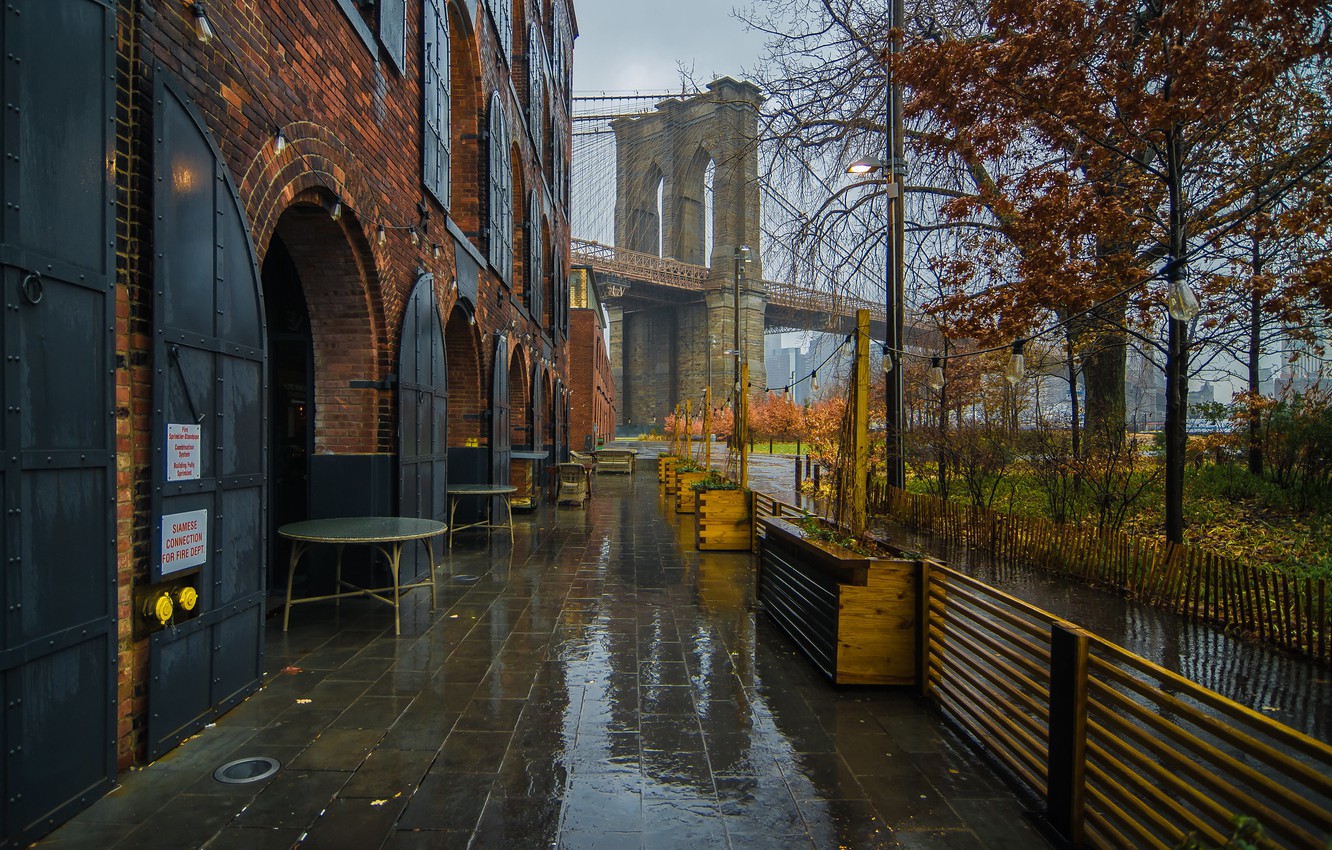 Photo Wallpaper Autumn, Bridge, Rain, Tree, New York, - Brooklyn Bridge Park , HD Wallpaper & Backgrounds