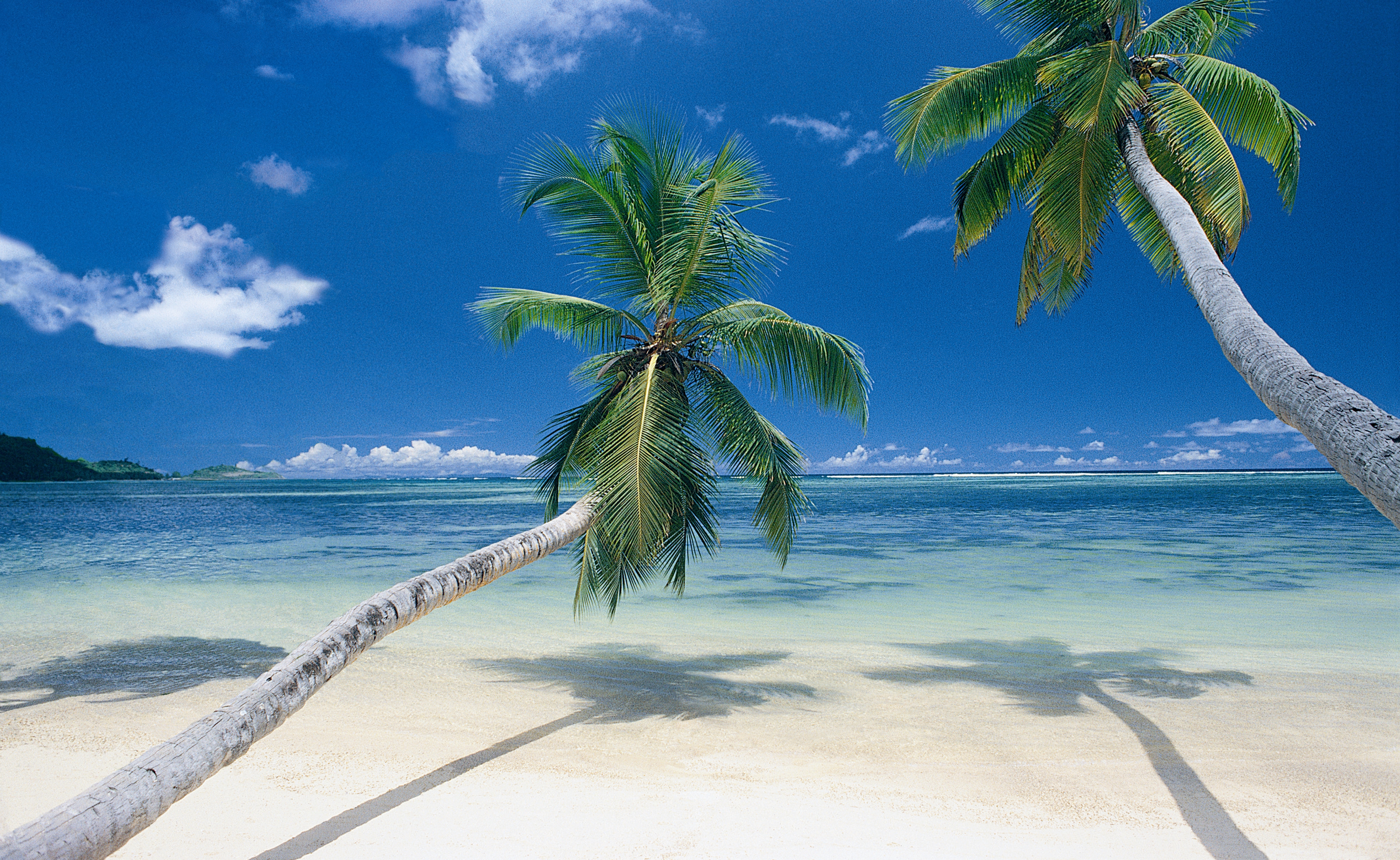 Beach Scene Wallpaper Full Desktop Backgrounds - Riviera Maya Costa Mujeres , HD Wallpaper & Backgrounds
