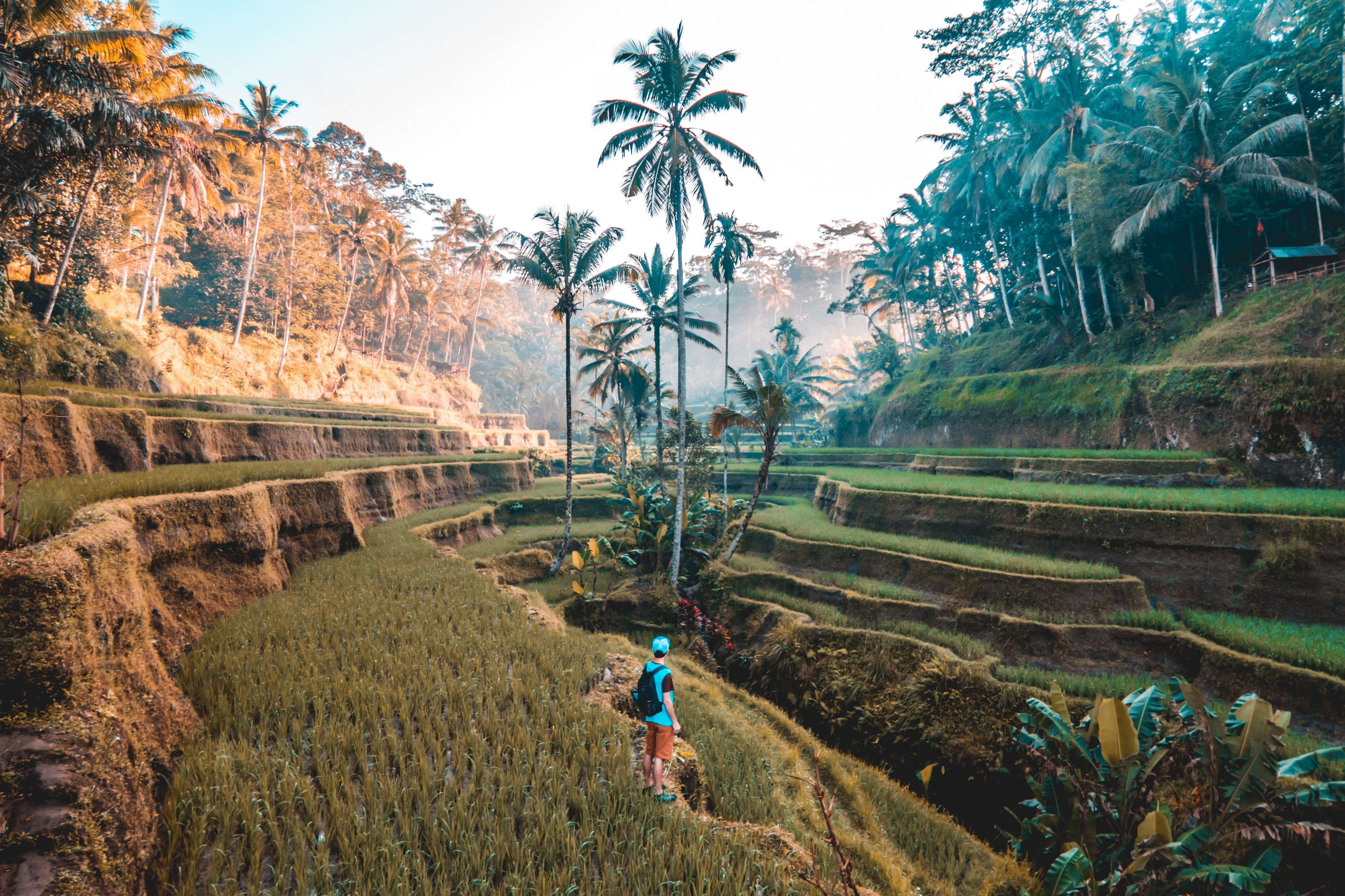 Bali Travel , HD Wallpaper & Backgrounds