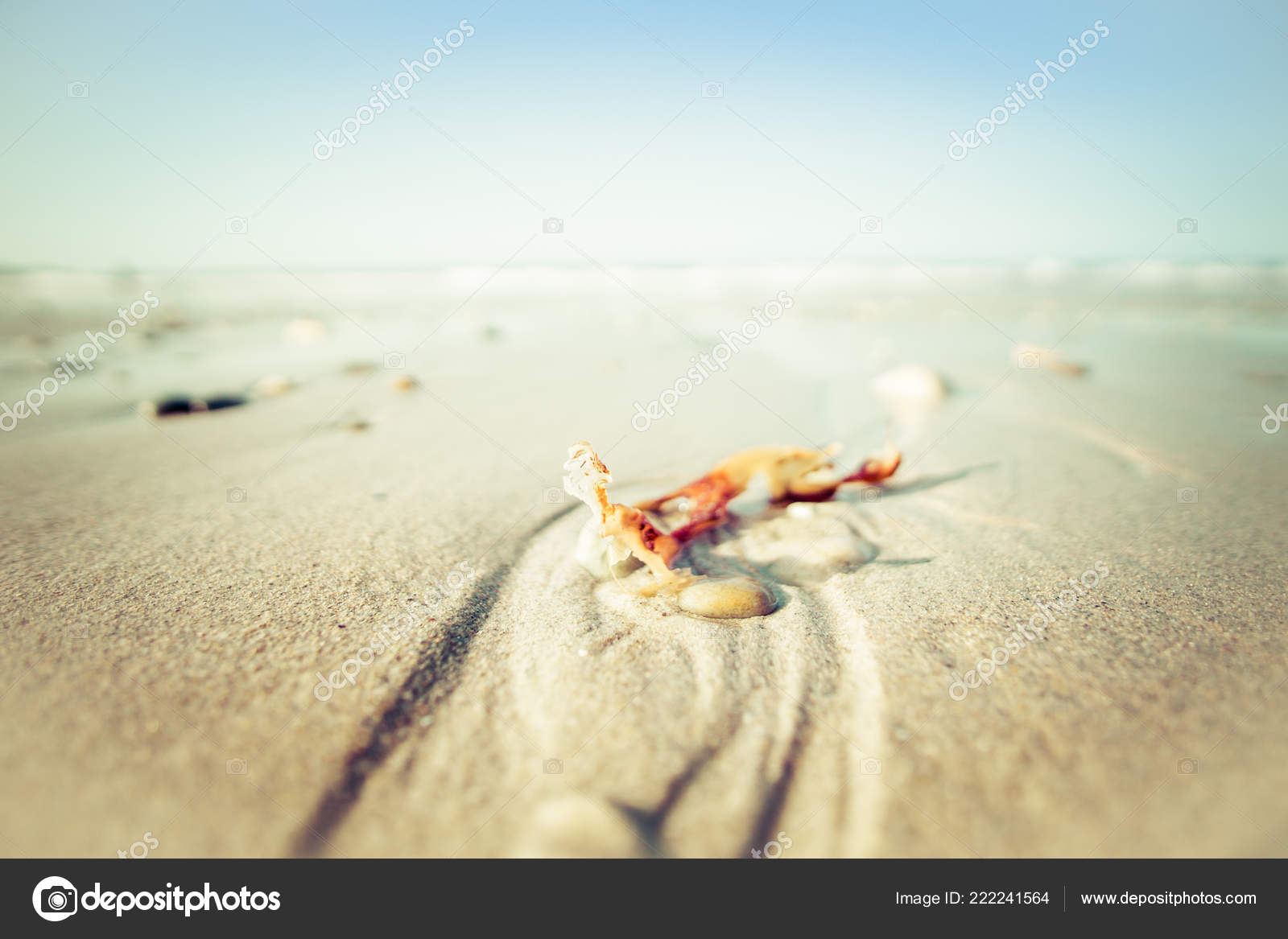 Beach Scene Wallpaper Stones Sand Sea Holidays Concept - Sand , HD Wallpaper & Backgrounds