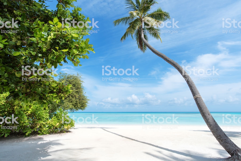 Caribbean , HD Wallpaper & Backgrounds