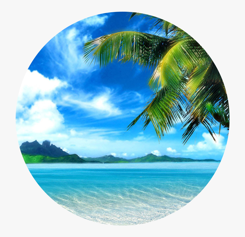 My Image 7
