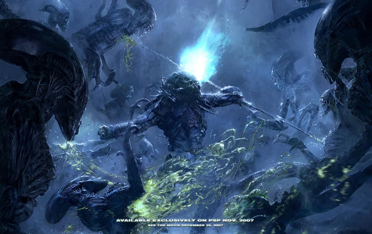 Predator Wallpapers - Alien Vs Predator Movie , HD Wallpaper & Backgrounds