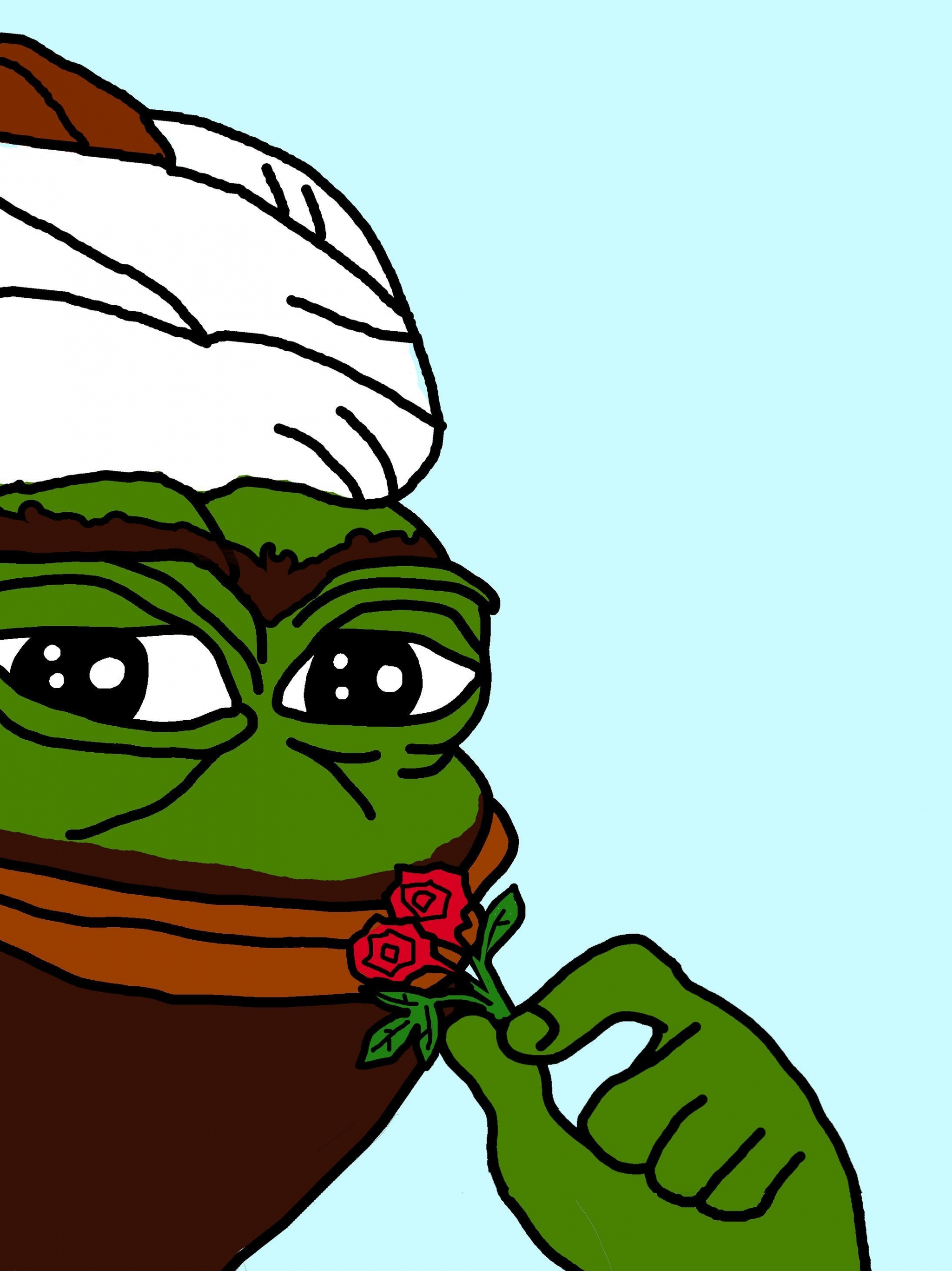 Rare Pepe For Pinterest - Pepe The Frog Turkish , HD Wallpaper & Backgrounds