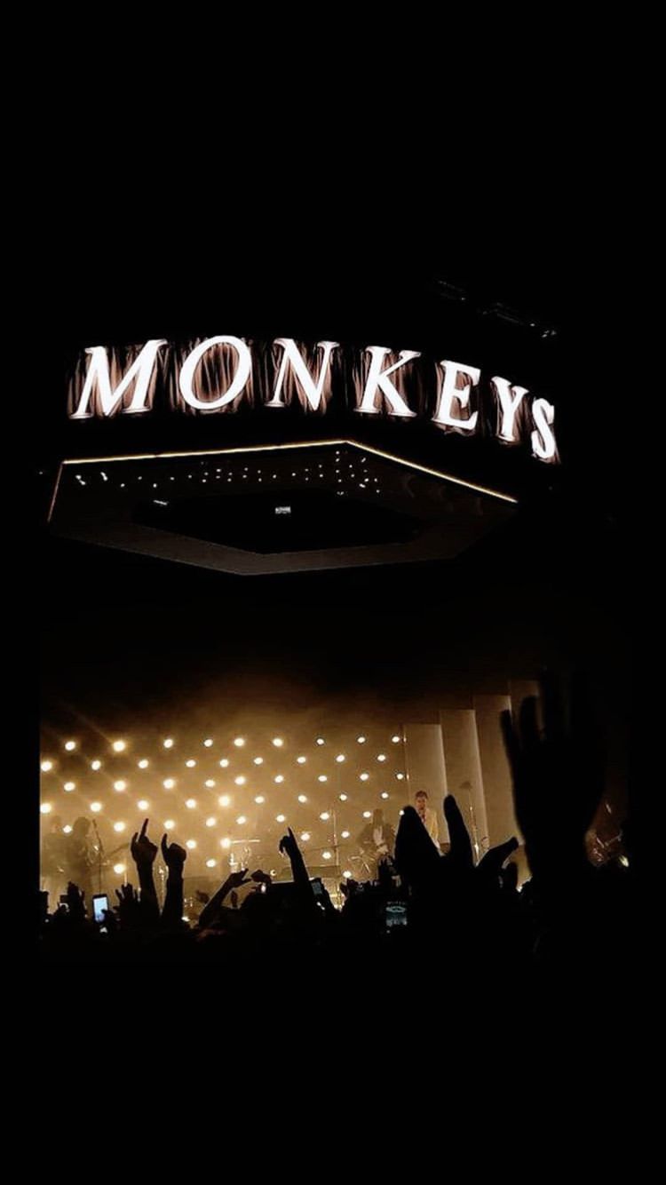 Arctic Monkeys Fondo De Pantalla , HD Wallpaper & Backgrounds