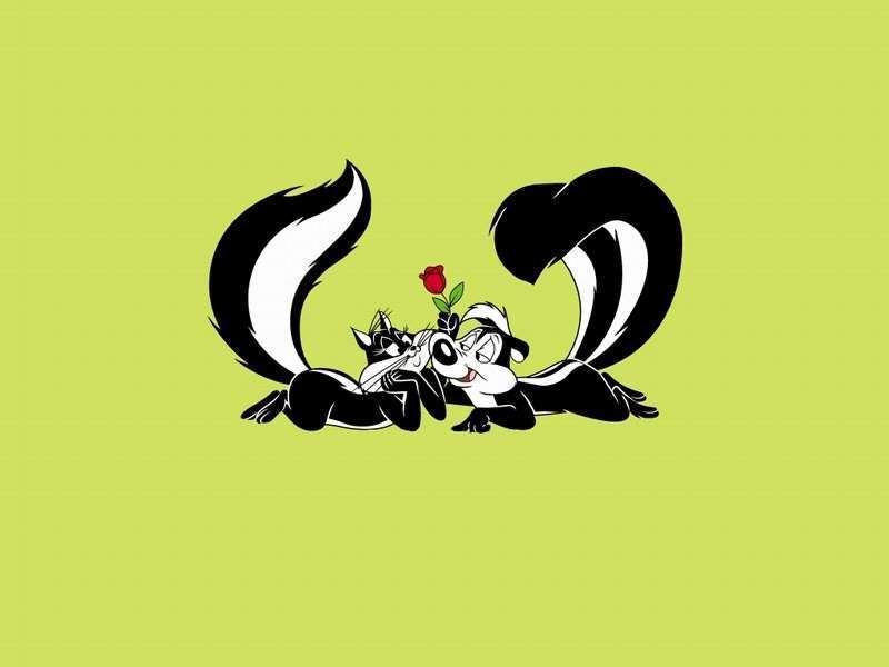 Pepé And Cat - Pepe Le Pew Background , HD Wallpaper & Backgrounds