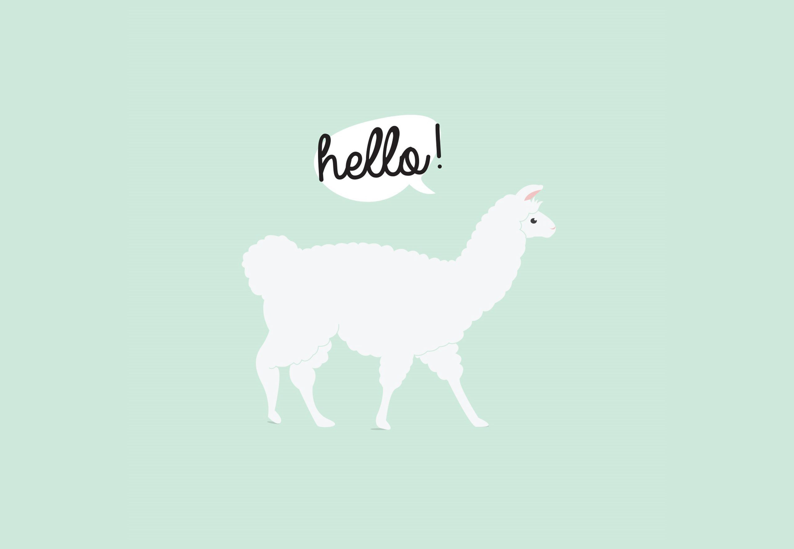 Llama , HD Wallpaper & Backgrounds