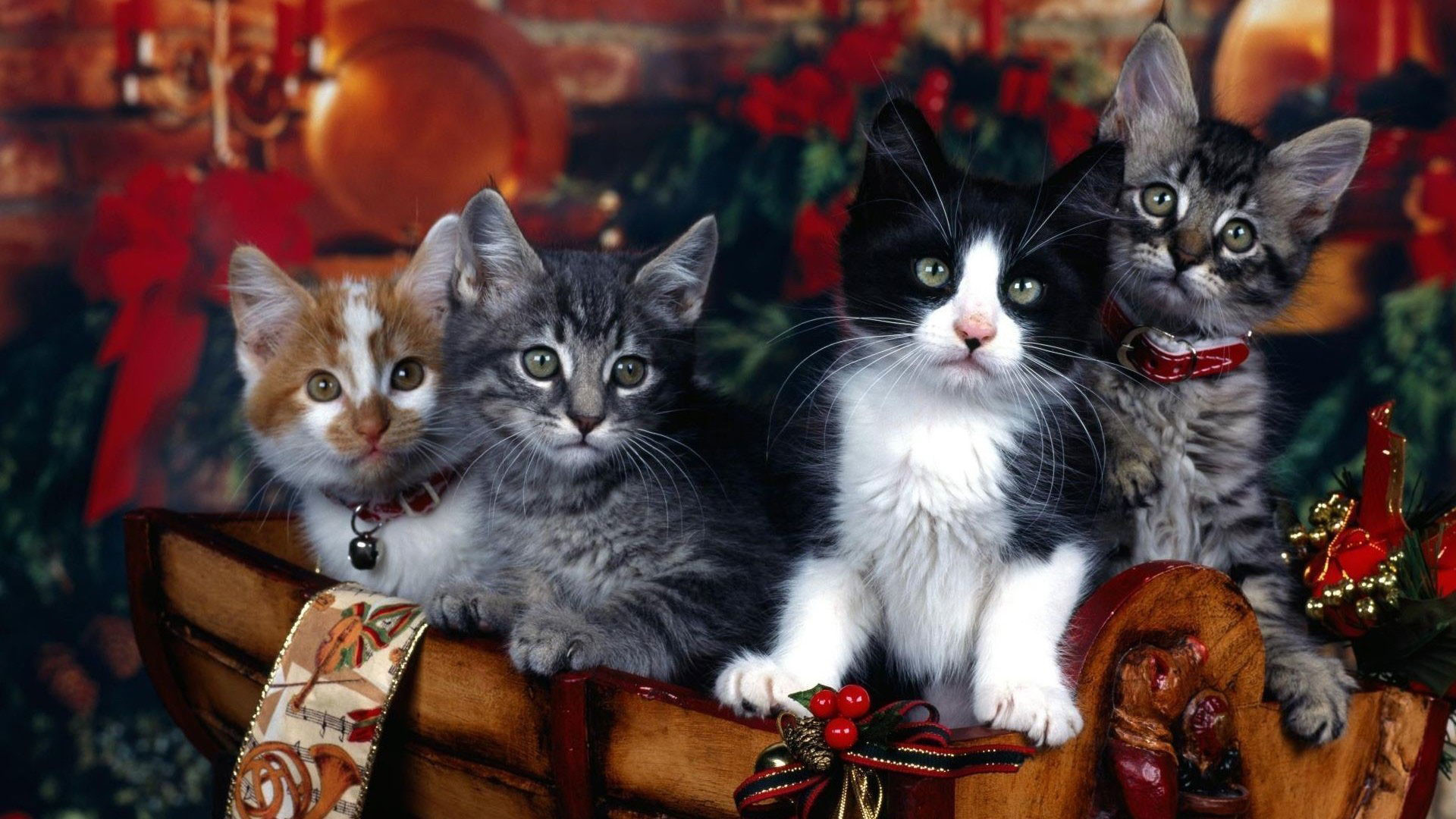 Hd Pics Photos Cute Attractive Christmas Cats Decorations - Pretty Backgrounds For Desktops , HD Wallpaper & Backgrounds