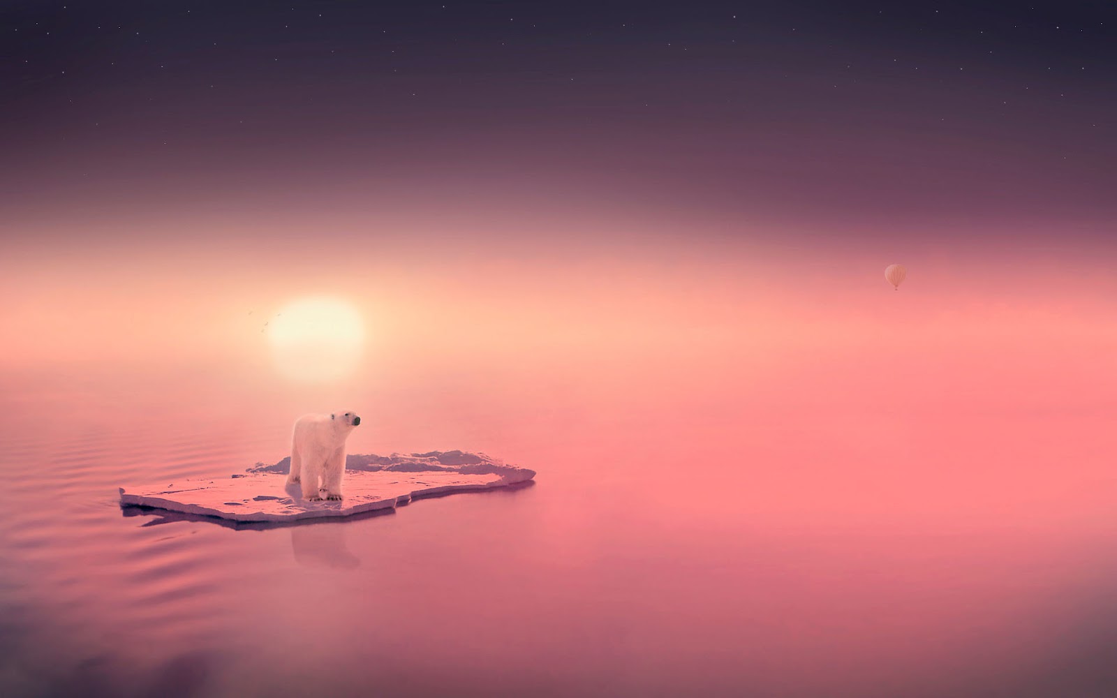 Polar Bear Wallpaper - Sea (#3074553) - HD Wallpaper & Backgrounds Download