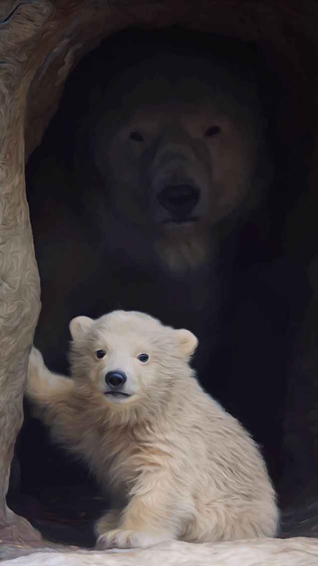 Polar Bear Wallpaper Baby Polar Bears Animals Cute - Cute Daddy Polar Bears , HD Wallpaper & Backgrounds