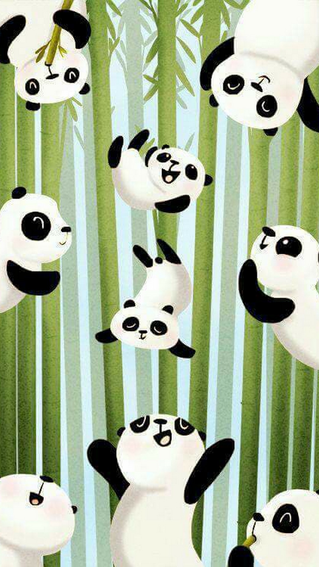 Iphone Wallpaper Hd Baby Panda - Baby Panda Wallpaper Panda Hd , HD Wallpaper & Backgrounds