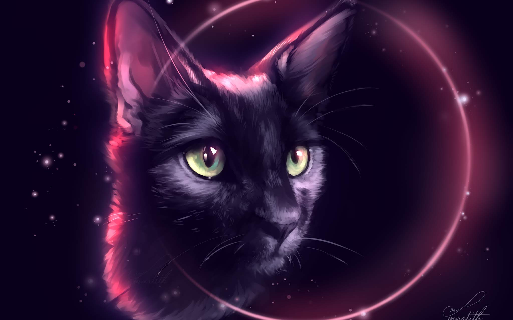 Fantasy Black Cat Wallpaper - Black Cat , HD Wallpaper & Backgrounds