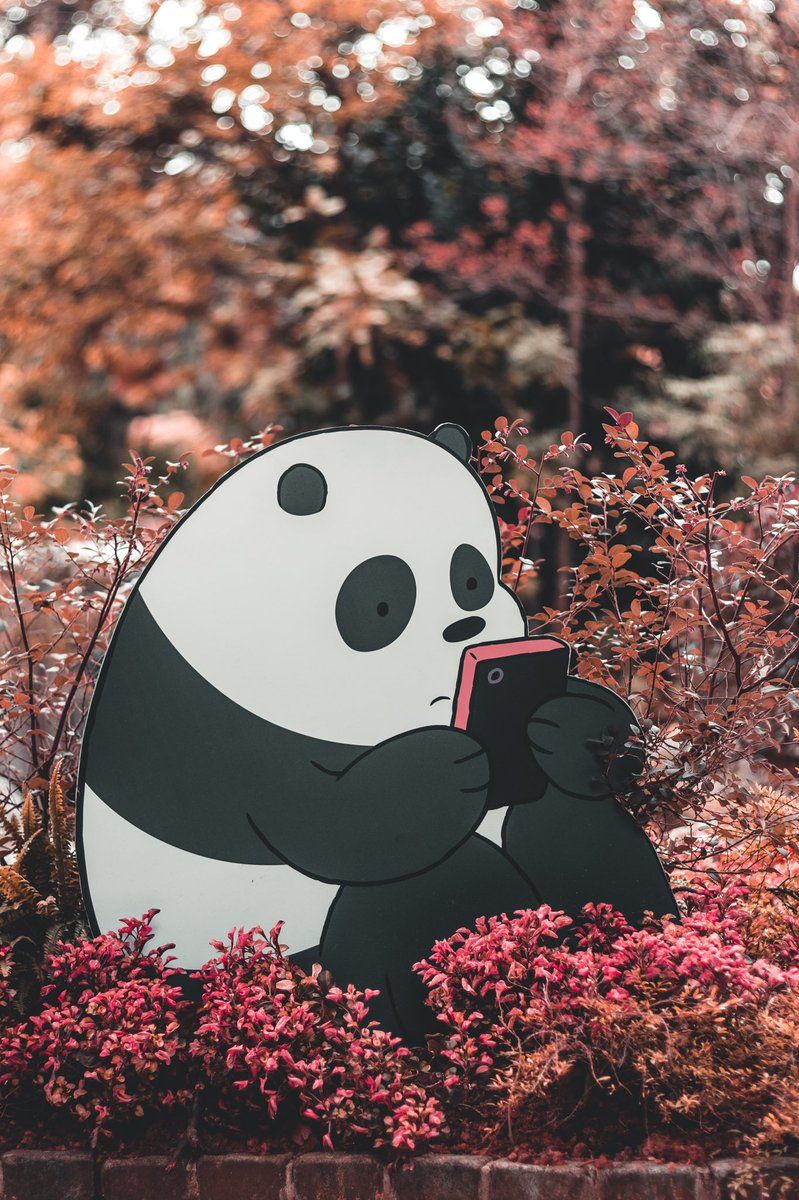 Gambar We Bare Bears Panda , HD Wallpaper & Backgrounds