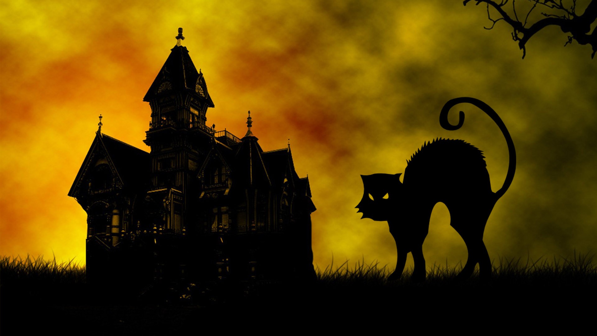 Halloween Black Cat Desktop Wallpaper - Carson Mansion , HD Wallpaper & Backgrounds