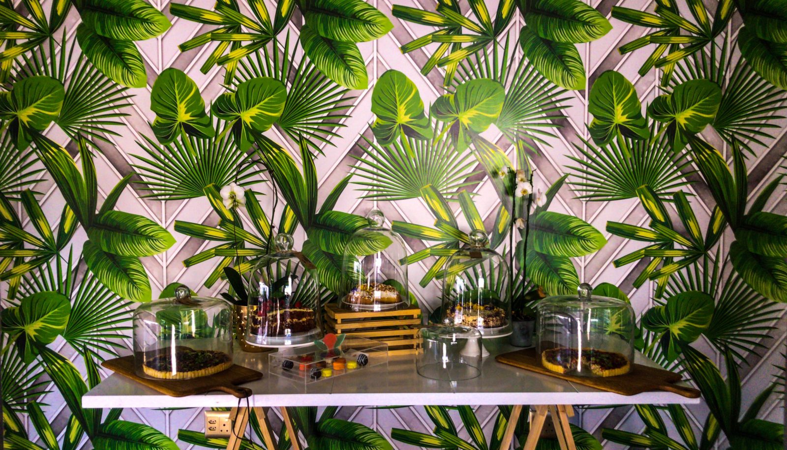 Accent Wallpaper Of Tropical Leaves - Indoor Garden , HD Wallpaper & Backgrounds