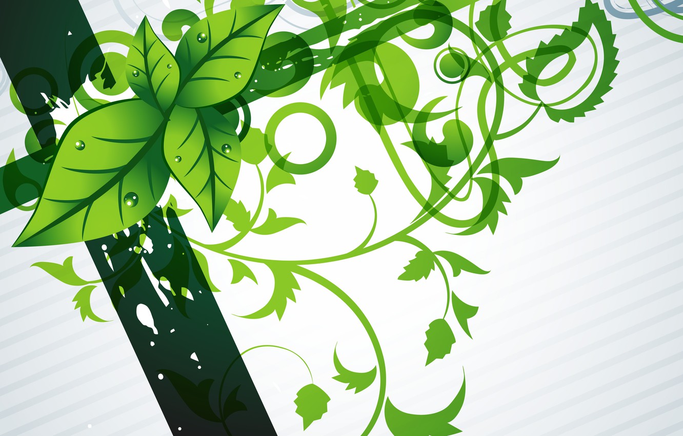 Photo Wallpaper Flowers, Green, Background, Green, - Modern Green Wallpaper Texture , HD Wallpaper & Backgrounds