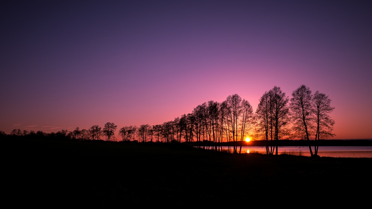Trees And Sunset - Nature Silhouette Hd , HD Wallpaper & Backgrounds