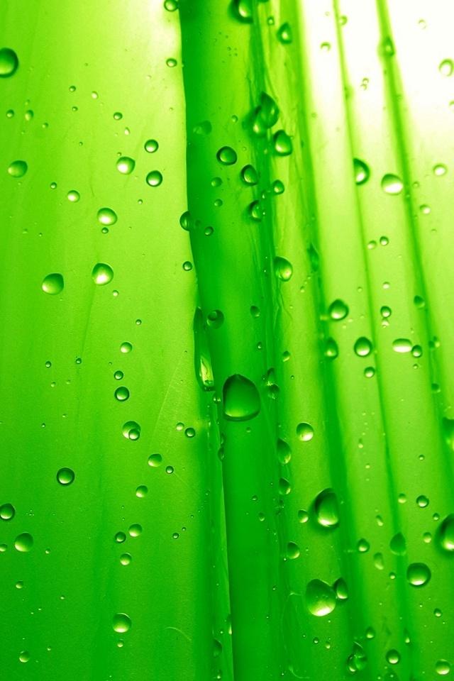 3d Iphone 5 Wallpapers With Water Drop Effects - Cover Photos Rainy Nature For Fb , HD Wallpaper & Backgrounds
