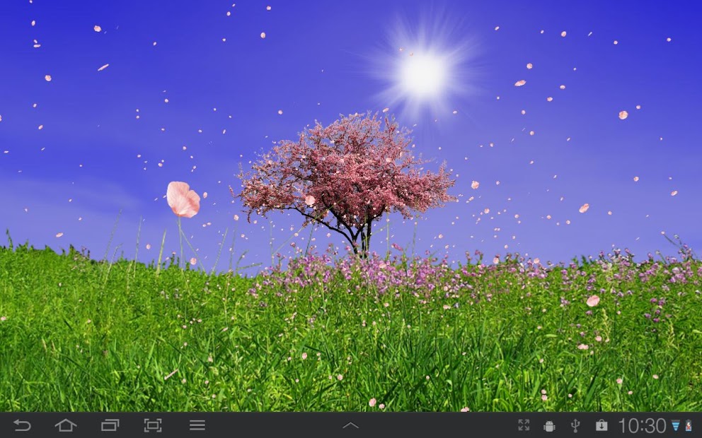 Spring Live Wallpaper - Trees Live , HD Wallpaper & Backgrounds
