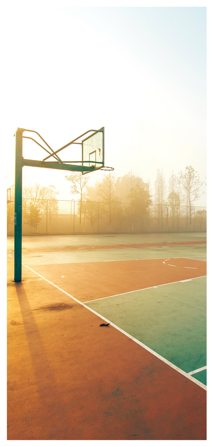 Cellphone Wallpaper In Basketball Court - Basketball Court , HD Wallpaper & Backgrounds