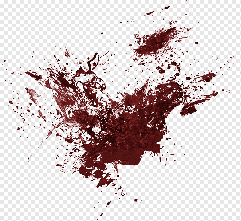 Red Splat, Blood Residue, Bloodstain, Miscellaneous, - Holy Family Catholic Church , HD Wallpaper & Backgrounds