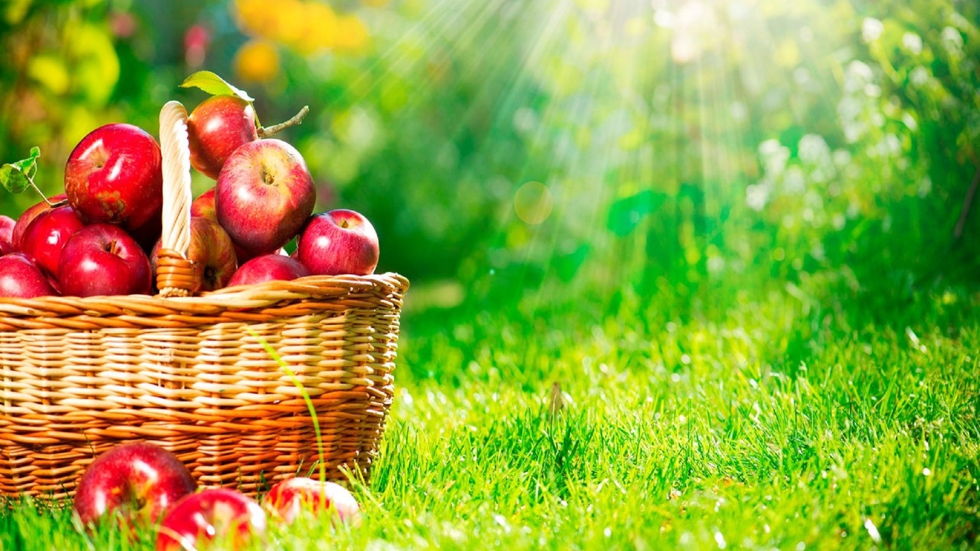 Apple Basket Wallpaper - Fruits Basket Images Hd , HD Wallpaper & Backgrounds