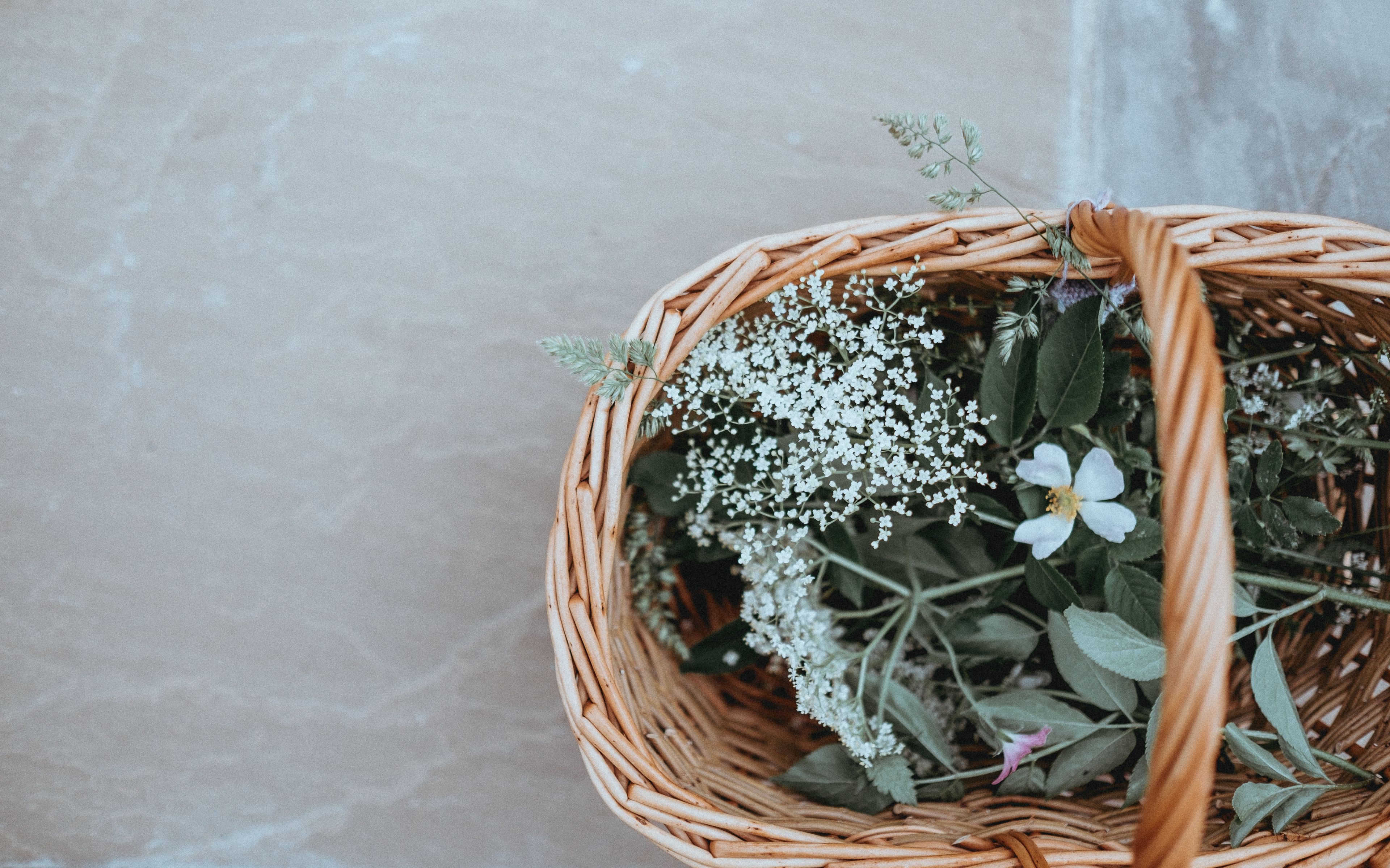 Wallpaper Basket, Flowers, Grass - Basket , HD Wallpaper & Backgrounds