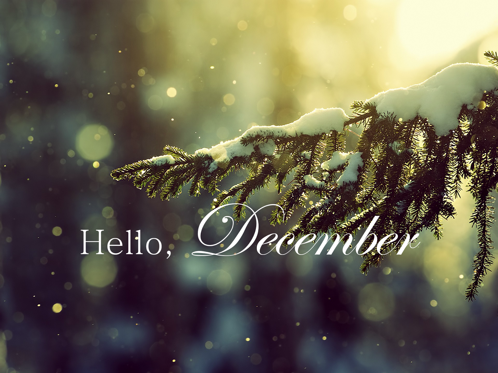 Hello December , HD Wallpaper & Backgrounds